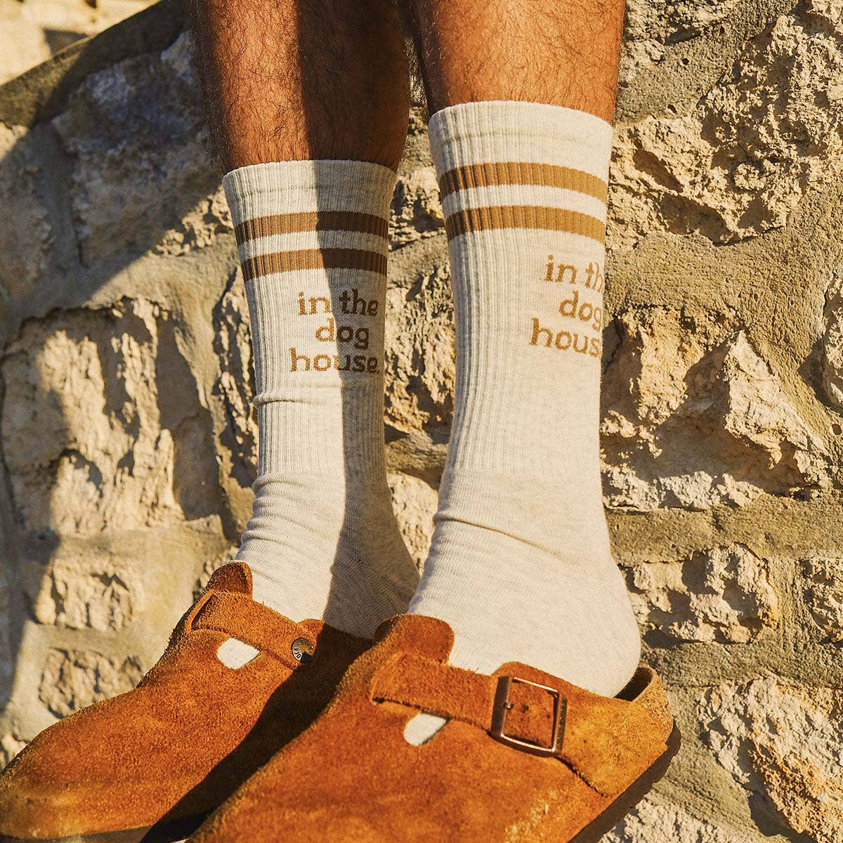 Dog House Socks in Brown Stripe