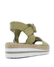 Load image into Gallery viewer, Andy Scorpion