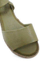 Load image into Gallery viewer, Andy Scorpion