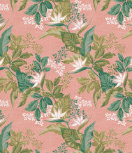 Load image into Gallery viewer, Paluma Dd Long Line Tri - Coral