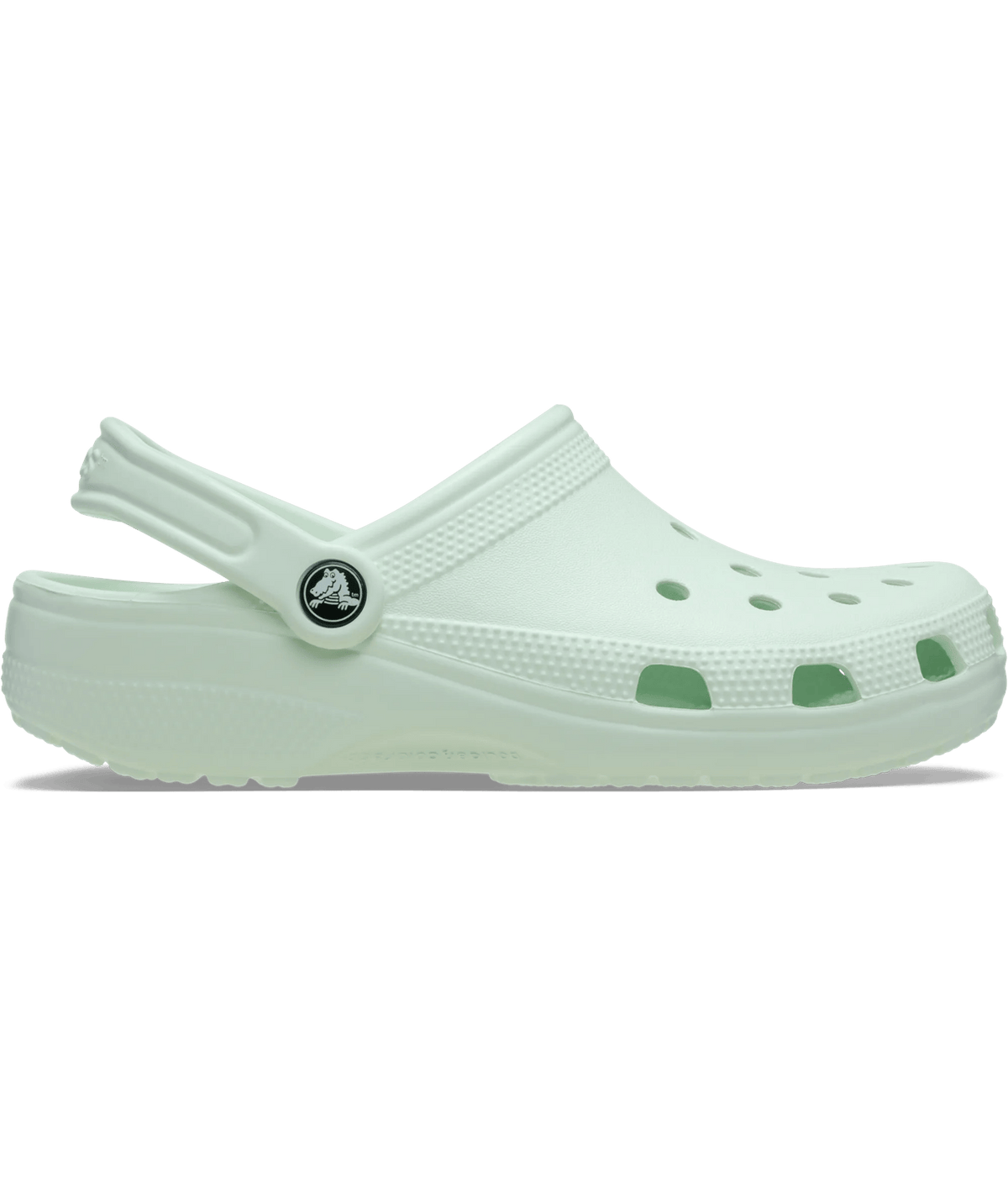 Classic Clog Mint Tint