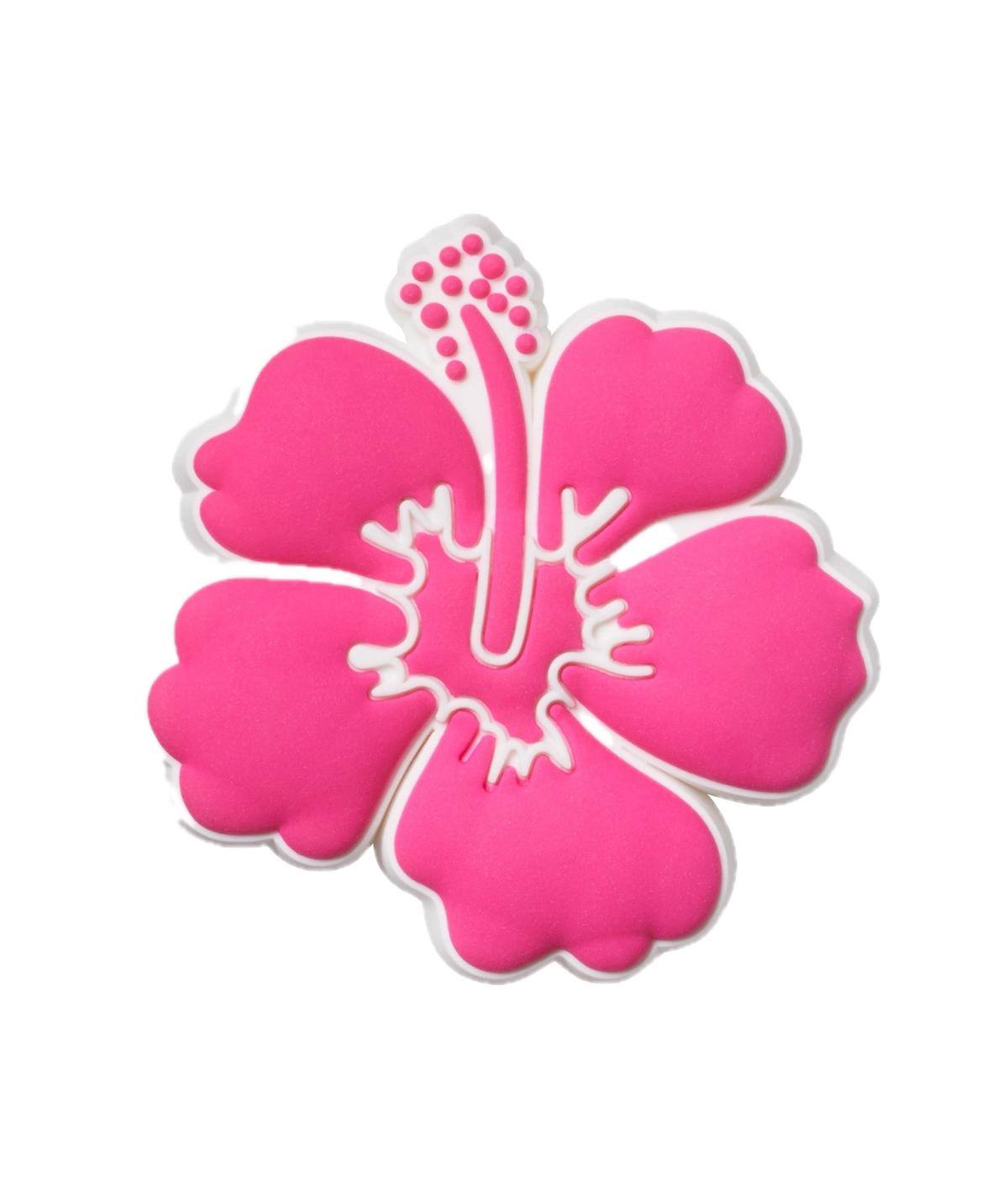 Pink Hibiscus