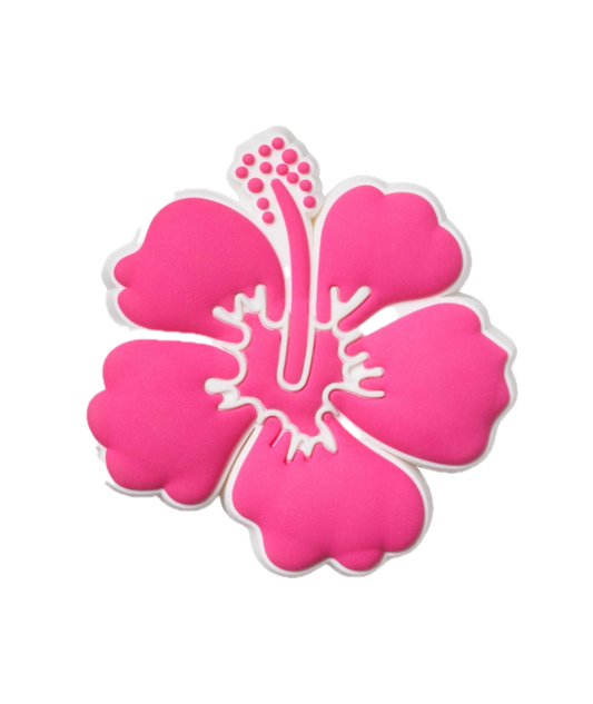 Pink Hibiscus