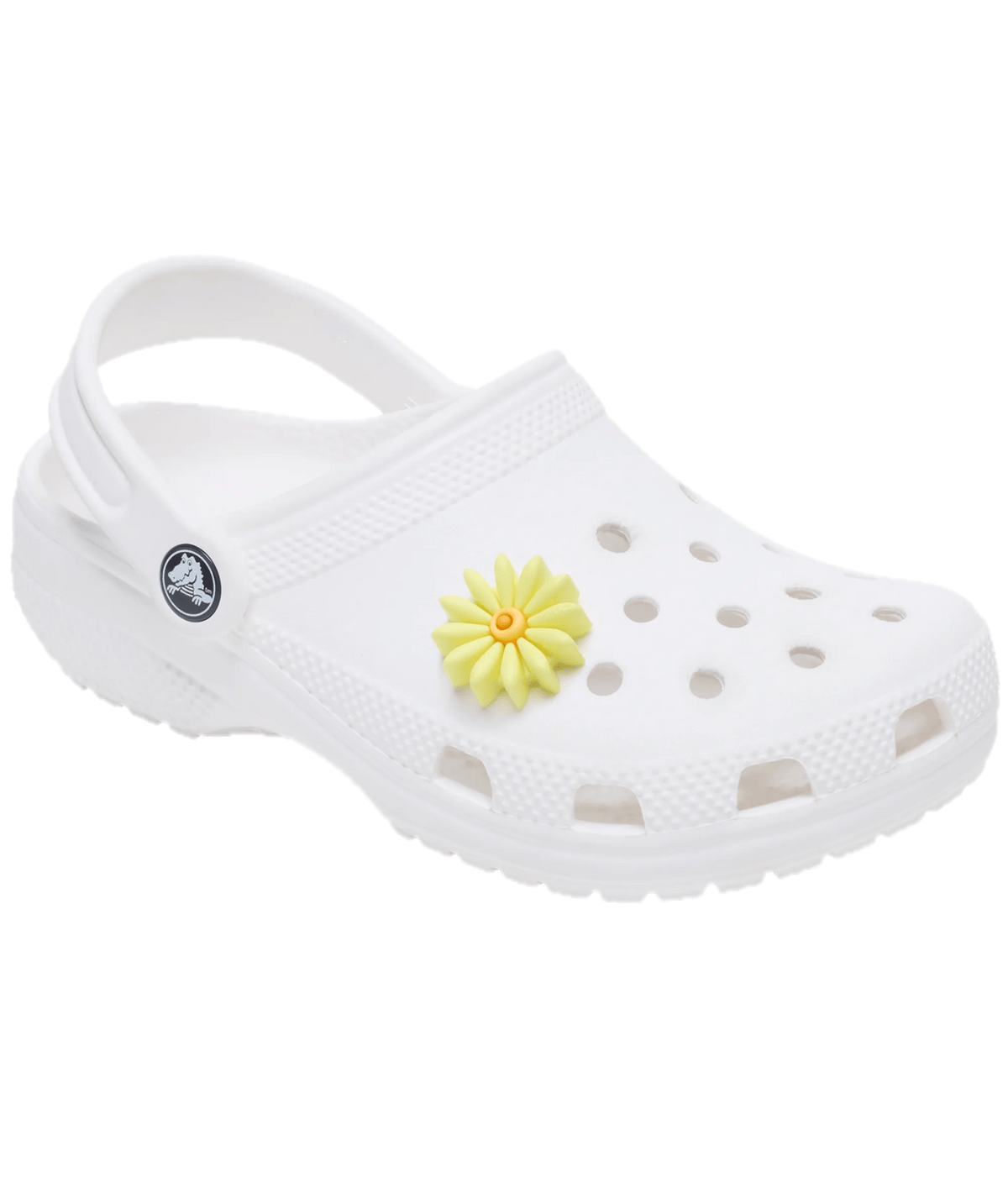 Puffy Yellow Daisy