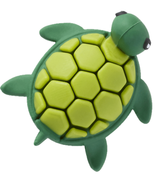 3D UV Changing Turtle