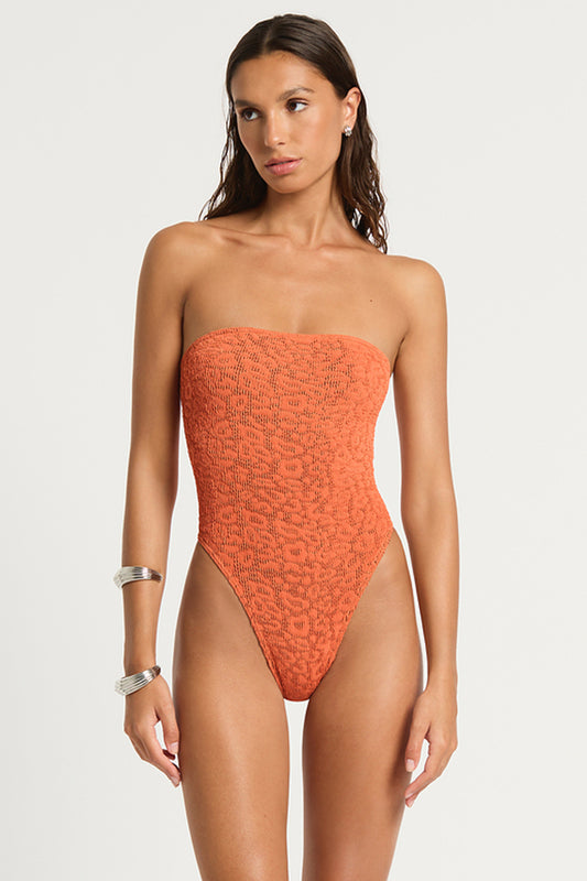 fane one piece Amber Leopard