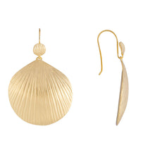 Load image into Gallery viewer, Gold Beachcomber Hooks