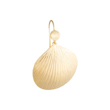 Load image into Gallery viewer, Gold Beachcomber Hooks