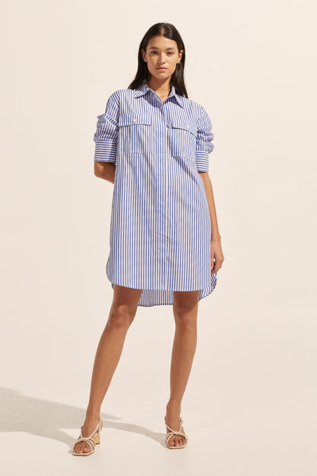 Driver Dress - cobalt stripe
