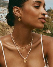 Load image into Gallery viewer, Mini Golden Beachcomber Hooks