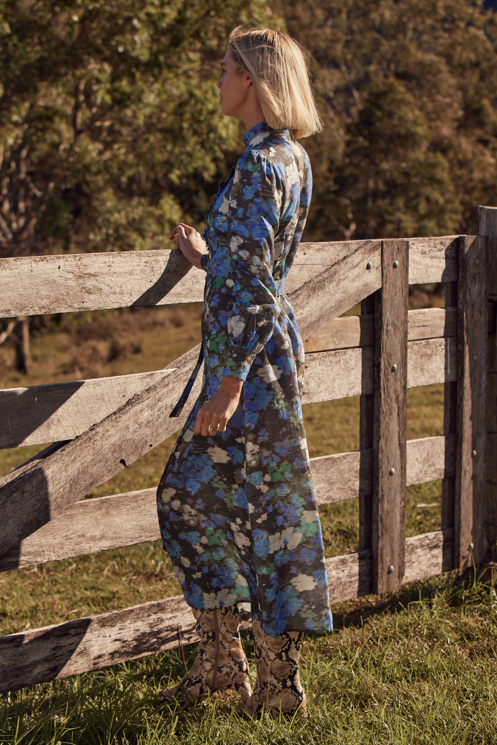 graduate dress - forest blur