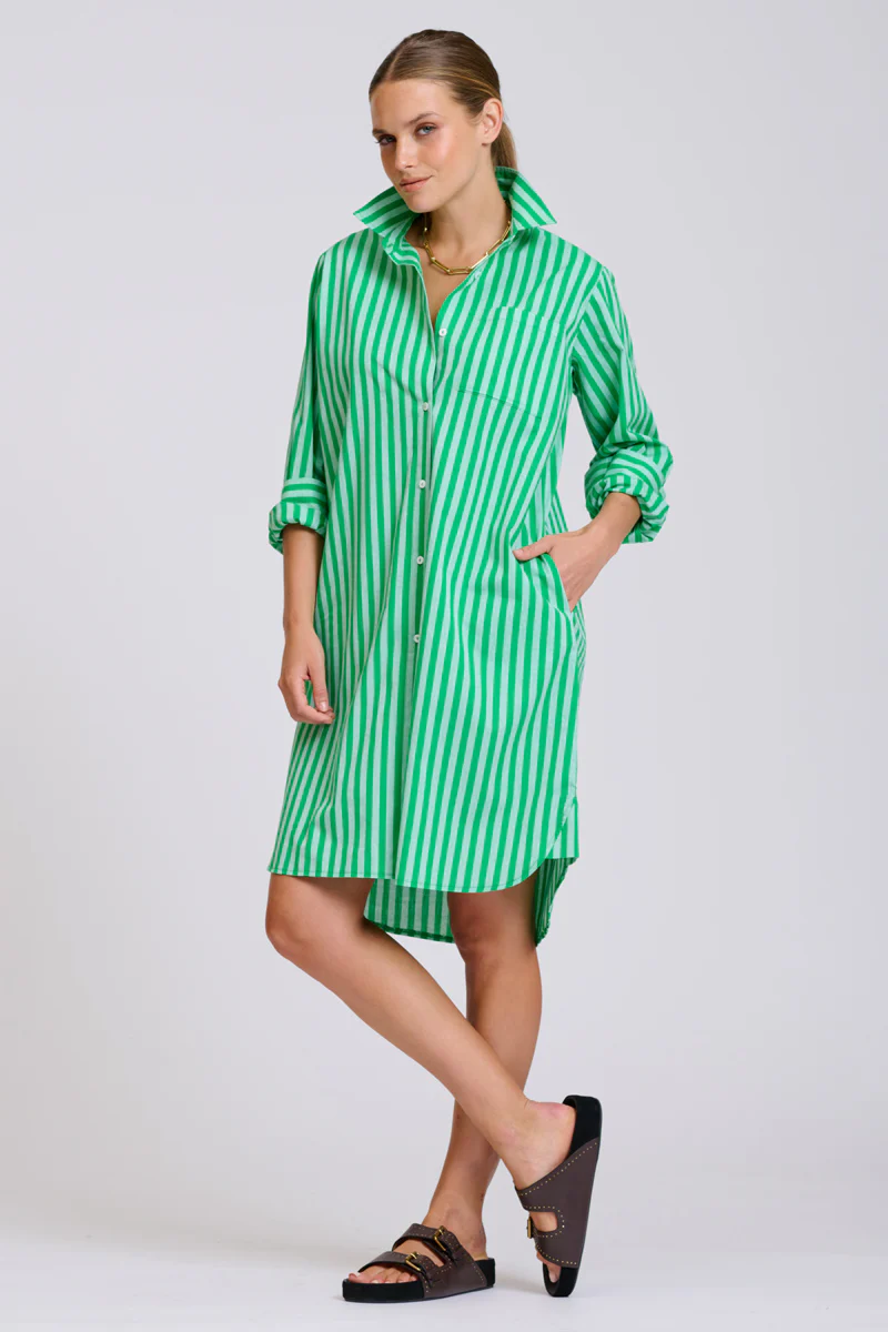 The Classic Cotton Shirt Dress - Double Green Stripe