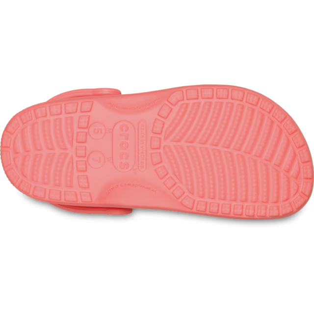 Classic Clog Guava