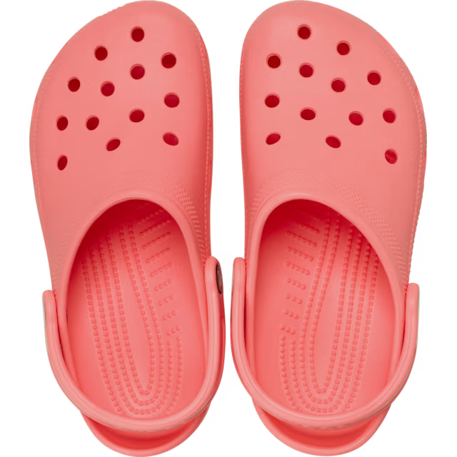 Classic Clog Guava