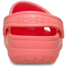 Load image into Gallery viewer, Classic Clog Guava