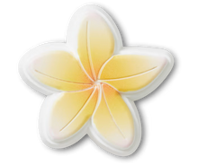 Load image into Gallery viewer, Beach Flower
