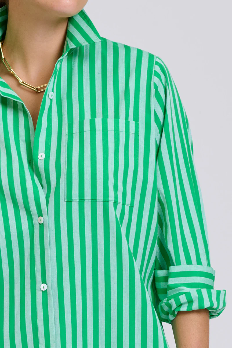 The Classic Cotton Shirt Dress - Double Green Stripe
