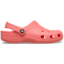 Load image into Gallery viewer, Classic Clog Guava