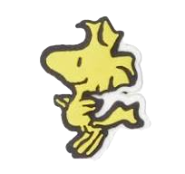 Peanuts Woodstock