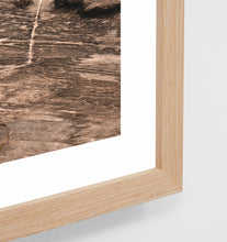 Load image into Gallery viewer, Secluded Swim Print