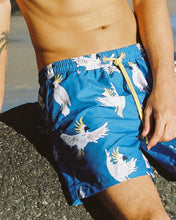 Load image into Gallery viewer, Mr Cocky 3.0 Swim Shorts