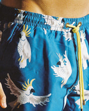 Load image into Gallery viewer, Mr Cocky 3.0 Swim Shorts