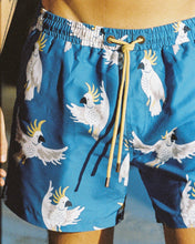 Load image into Gallery viewer, Mr Cocky 3.0 Swim Shorts