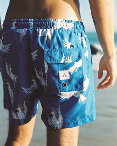 Mr Cocky 3.0 Swim Shorts