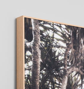 Along The Coast Framed Canvas
