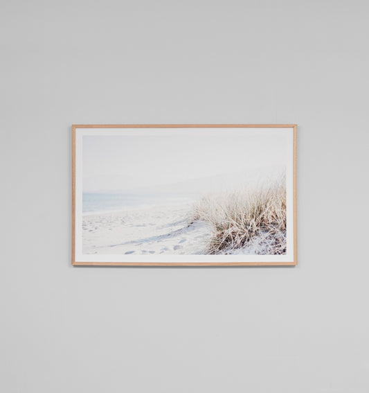 Beach Grass