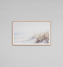 Load image into Gallery viewer, Beach Grass