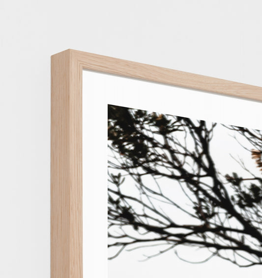 Rugged Cove Print